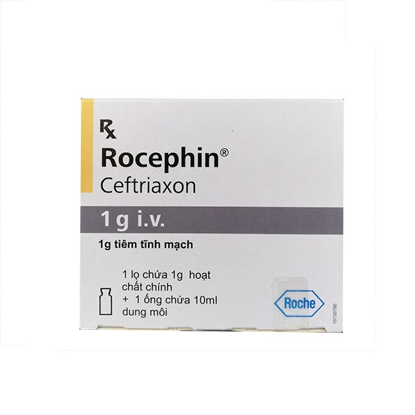 Rocephin Ceftriaxon 1G I.v Roche (H/1G)