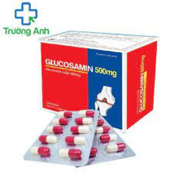 Glucosamin 500 Hà Tây(H100V)