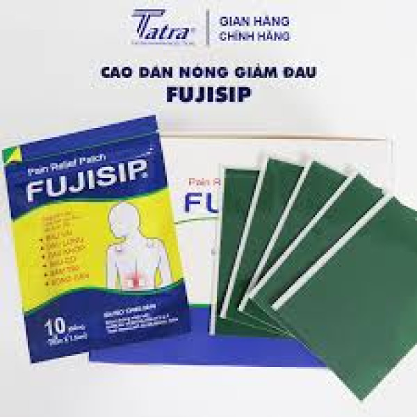 Fujiship Dán Nóng _Tatra (H/20 Gói X 5 Miếng)