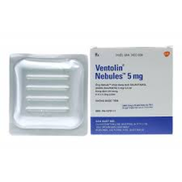Ventolin 5Mg Gsk (H30 Ống)
