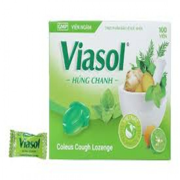 Viasol Húng Chanh (H100V)