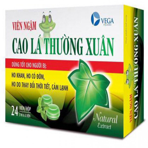 Viên Ngậm Cao Lá Thường Xuân _Vega (Hộp 24 Viên)