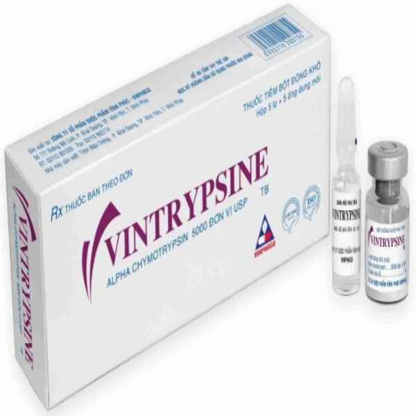 Vintrypsine Tiêm (H/5Lọ/5 Ống/1Ml)