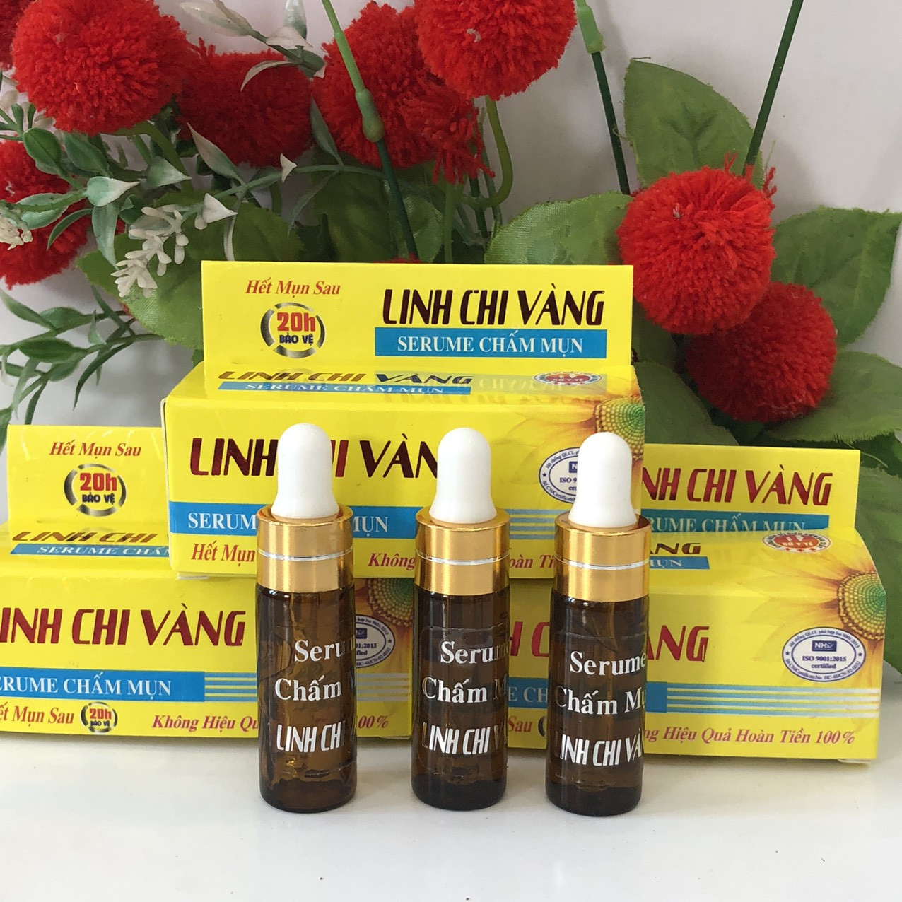 Linh Chi Vàng (H/12lọ)