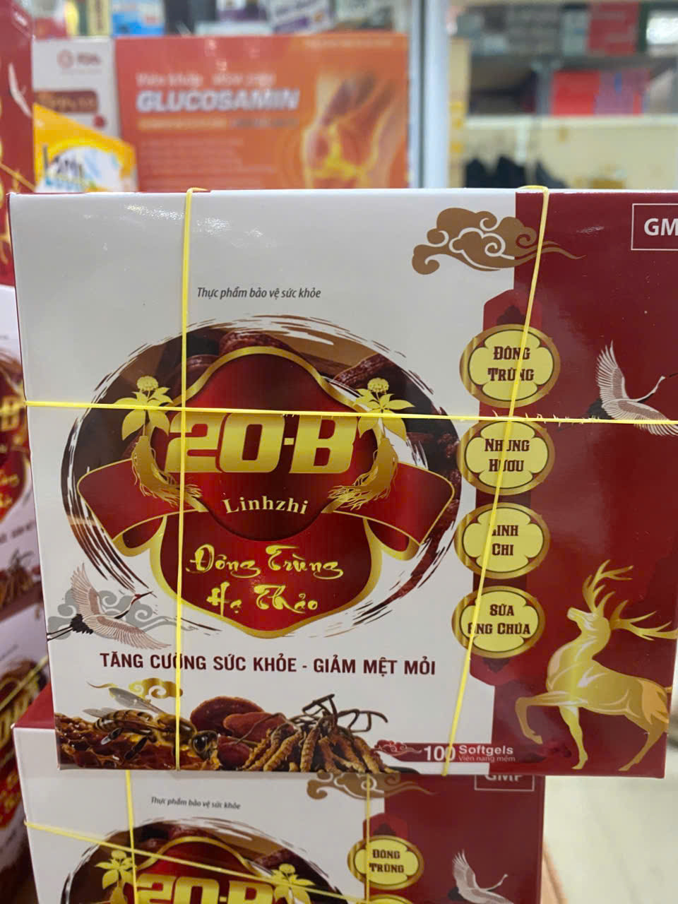 20B Đông trung hạ thảo (H100v) hàng điểm