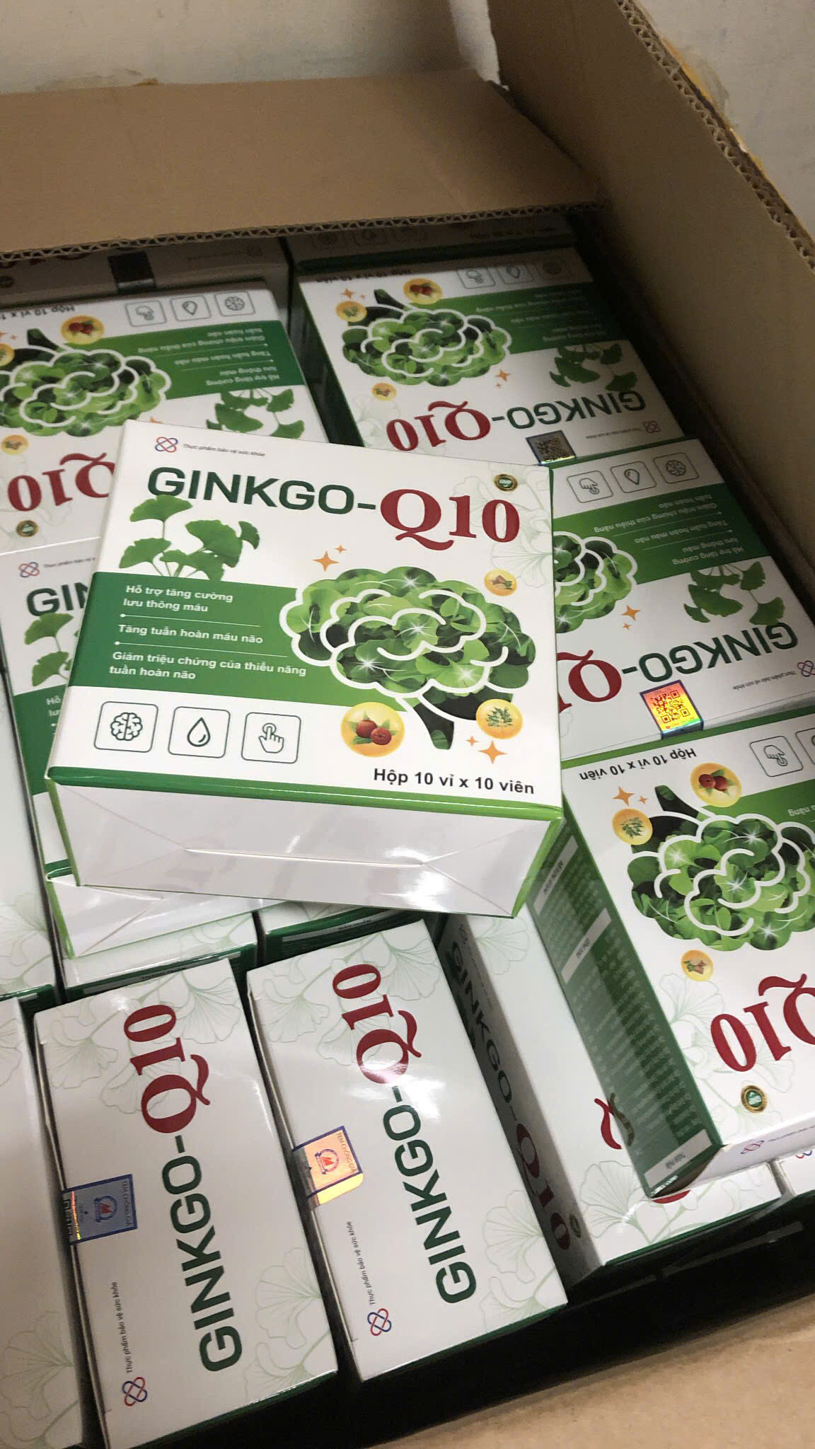 Ginkgo Q10 (H/100v)