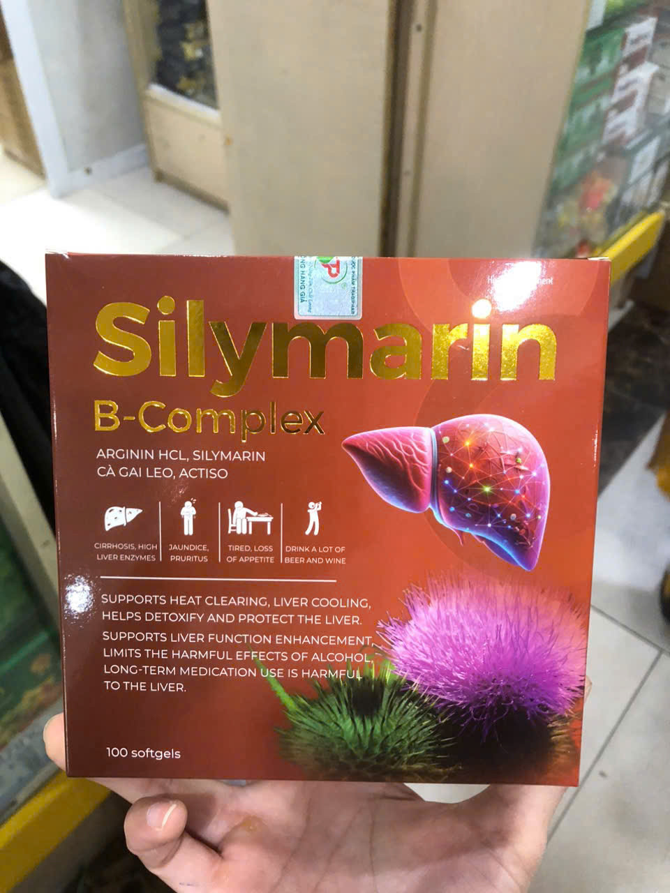 Silymarin B-complex (H100v)