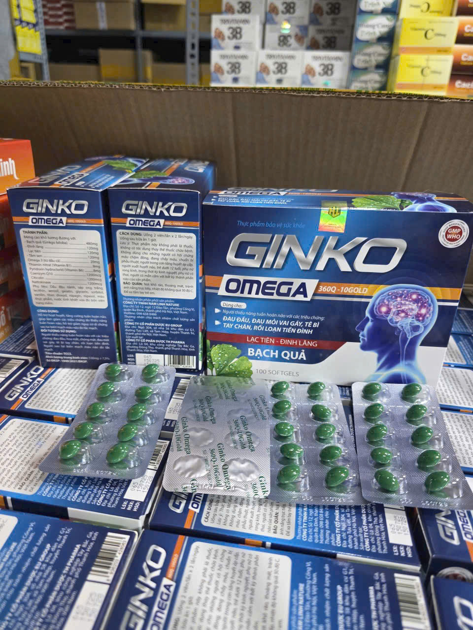 Ginko Omega (H/100v)