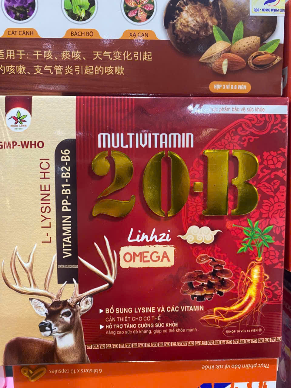 Multivitamin 20B (H/100v)