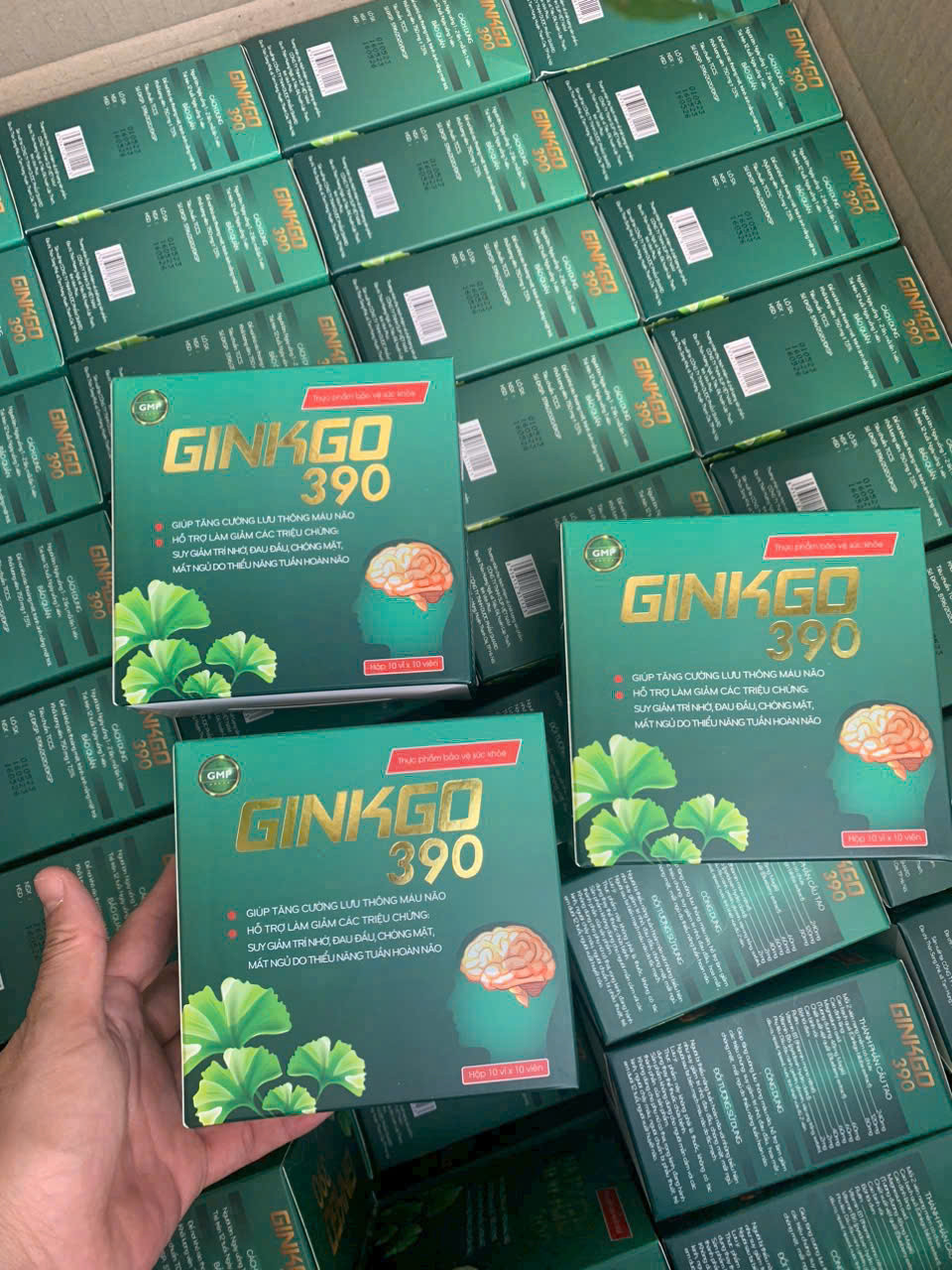 Ginkgo 390 Xanh (H/100v)