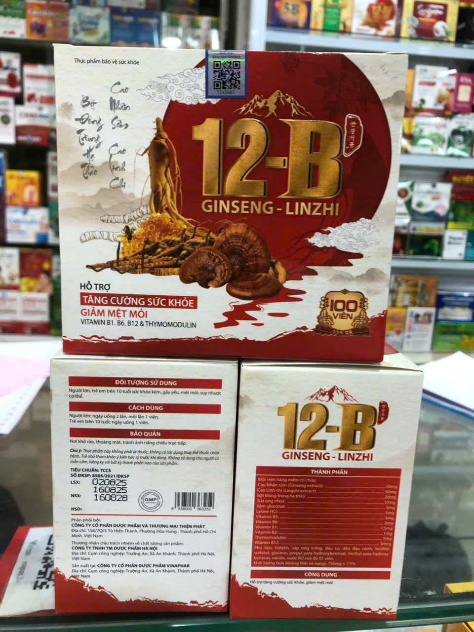 12B Ginseng linzhi (H/100v)