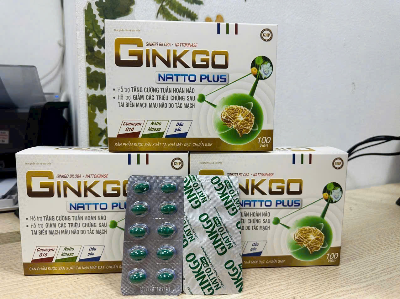 Ginkgo natto plus (H/100v) PM