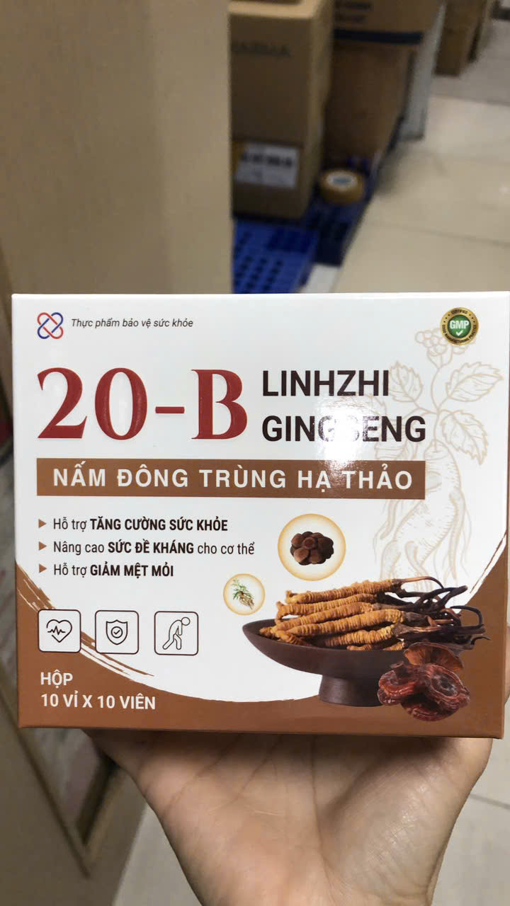 20B Linhzhi Gingseng (H/100v)
