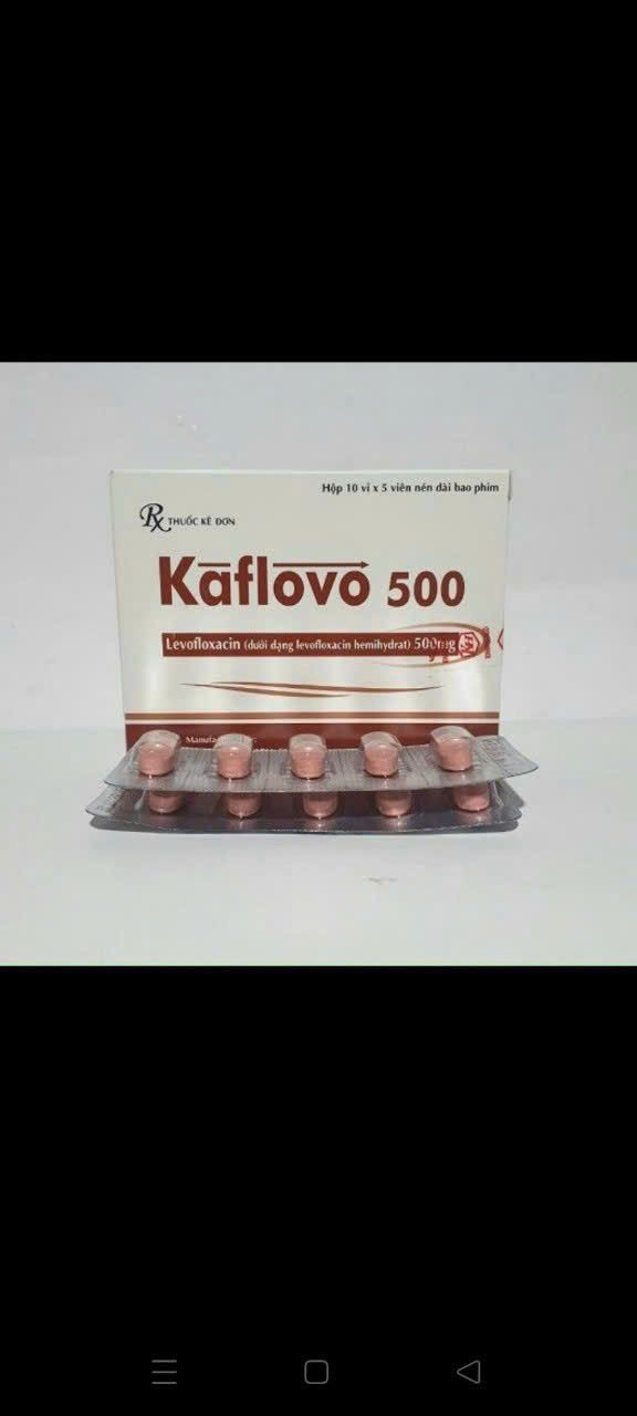 Kaflovo Levofloxacin 500Mg Khapharco (H50V)