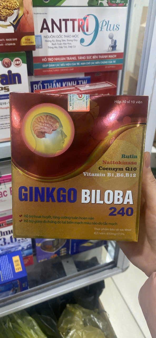 Ginkgo Biloba 240mg Vàng (h/100)