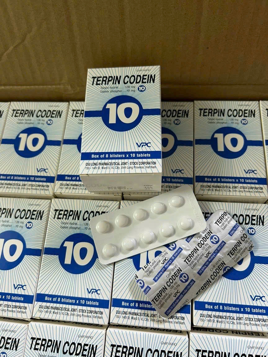 Terpin Codein 10 (H8 vỉ)