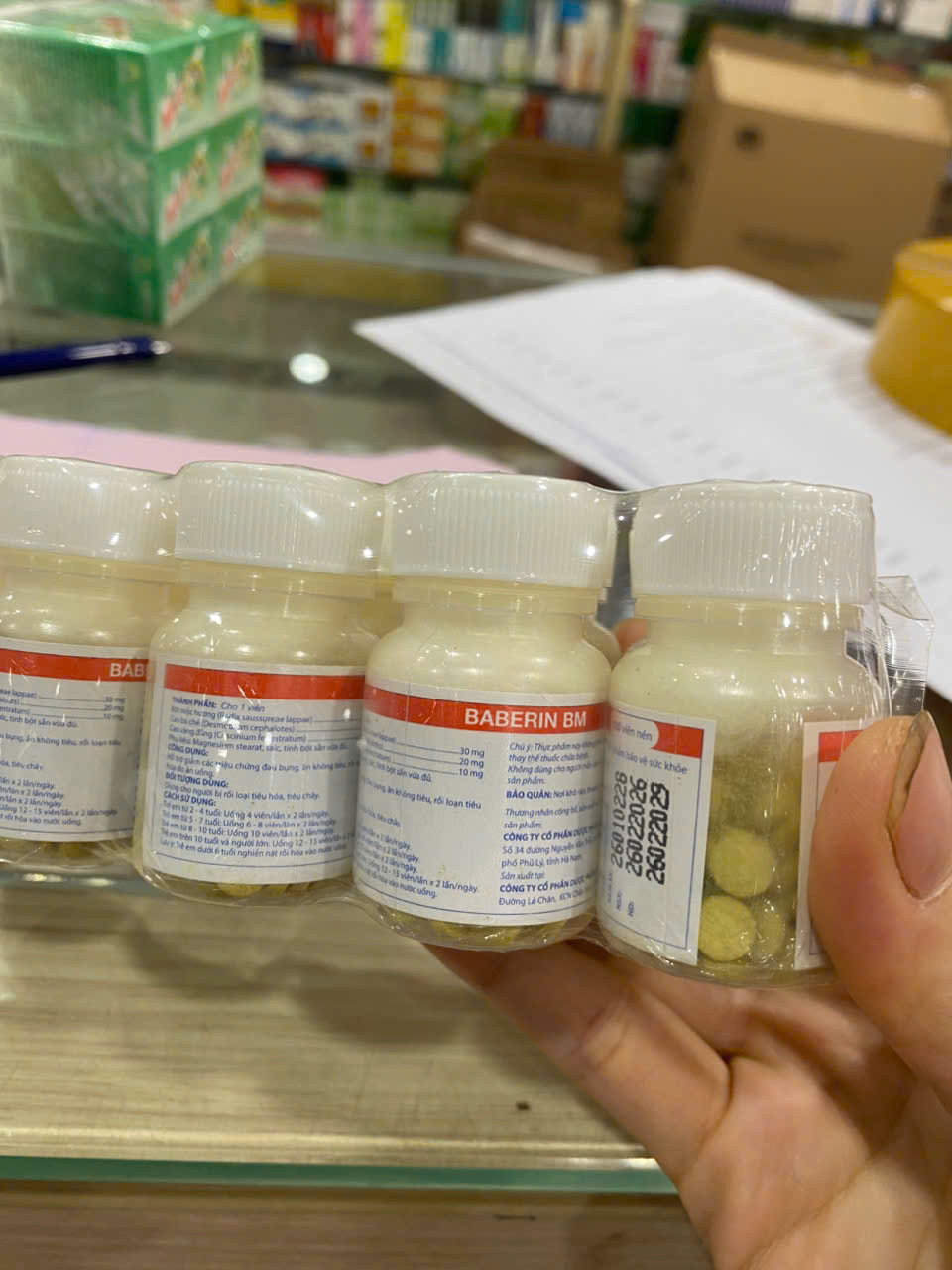 Berberin Baberin Bm Hà Nam (Cọc10L80V) K56C