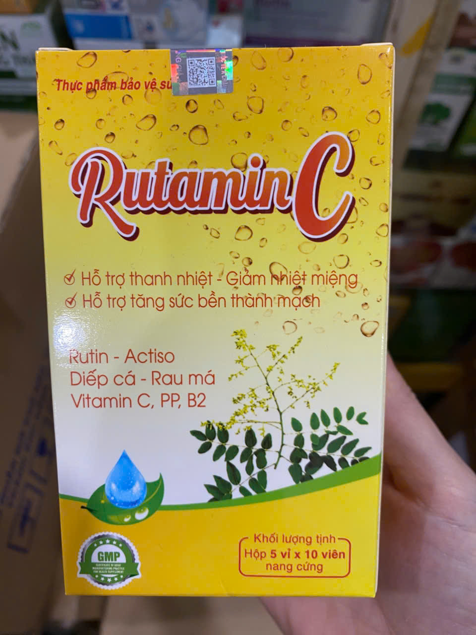 RutaminC (H/50v)
