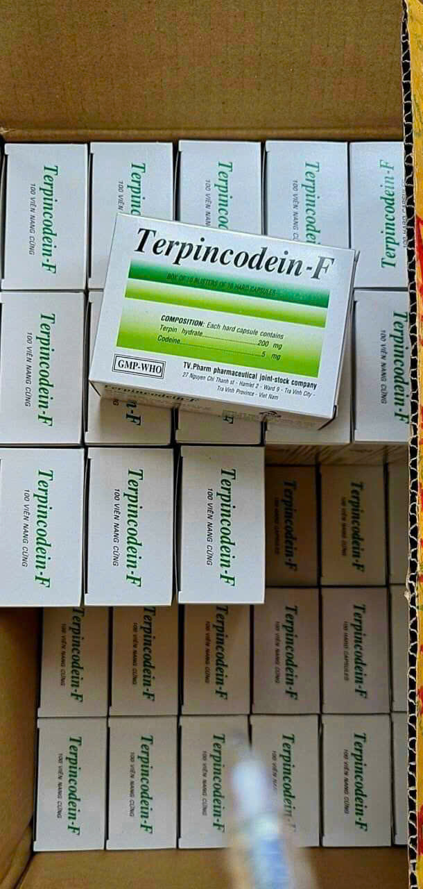 Terpin Codein F (H/100v)