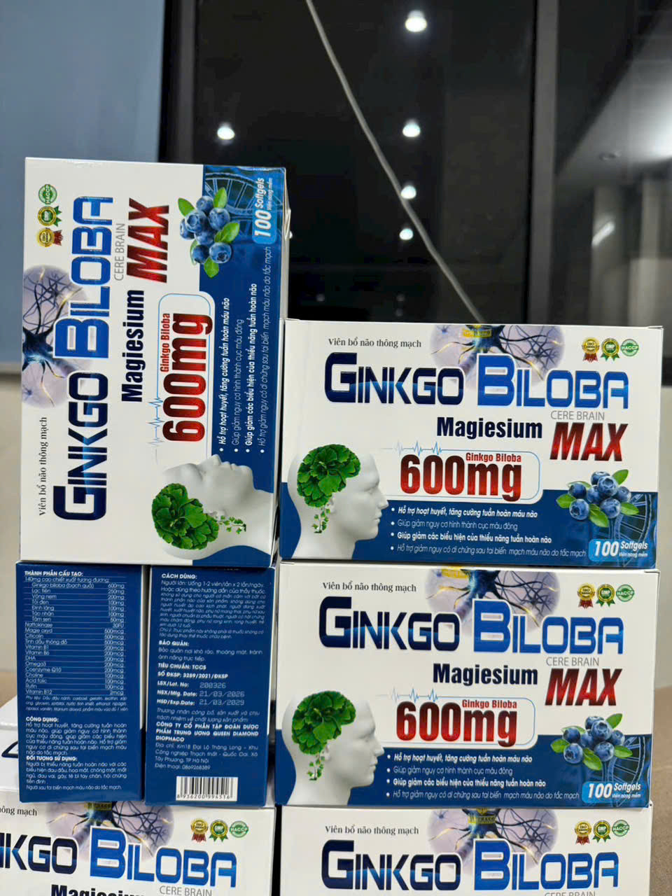 Ginkgo Biloba Max 600mg  (H/100v)