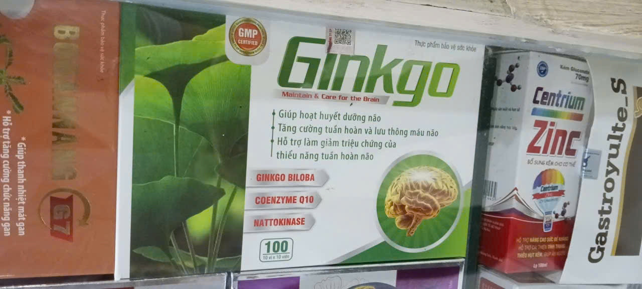 Ginkgo xanh lá (H/100v)