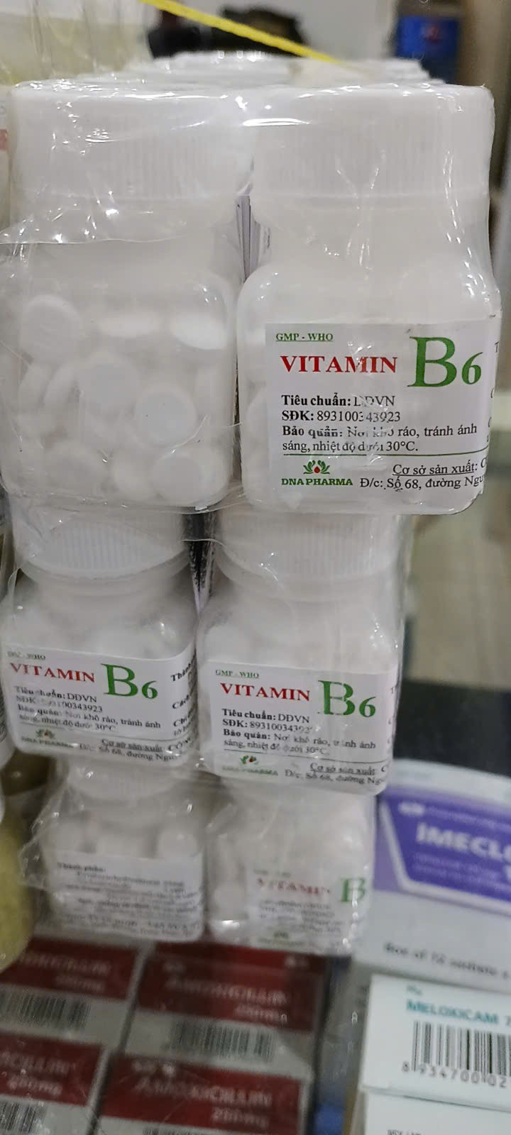 Vitamin B6 Lọ _Nghệ An (cọc 10Lọ 100V)