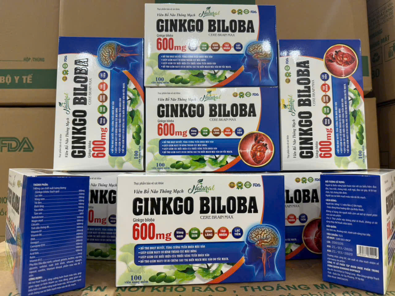Ginkgo Biloba 600mg (h/100v)