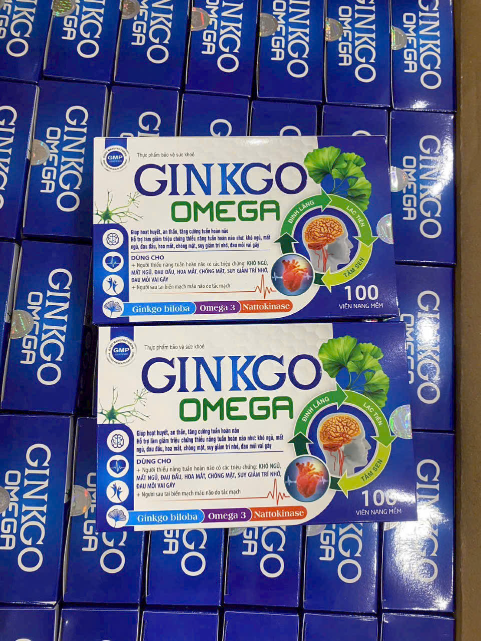 Ginkgo Omega (H/100v) mẫu mới