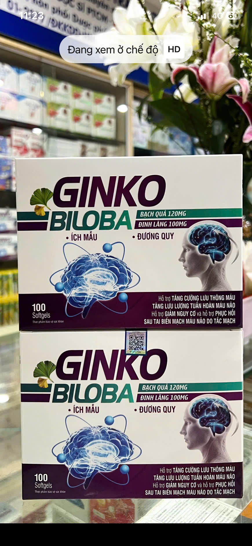 Ginkgo Biloba (H/100v) chữ tím
