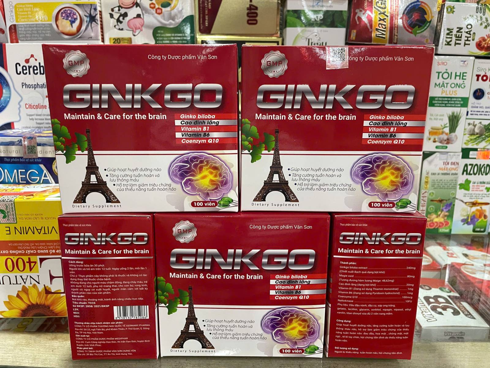 Ginkgo đỏ (H/100v) tháp ép phen