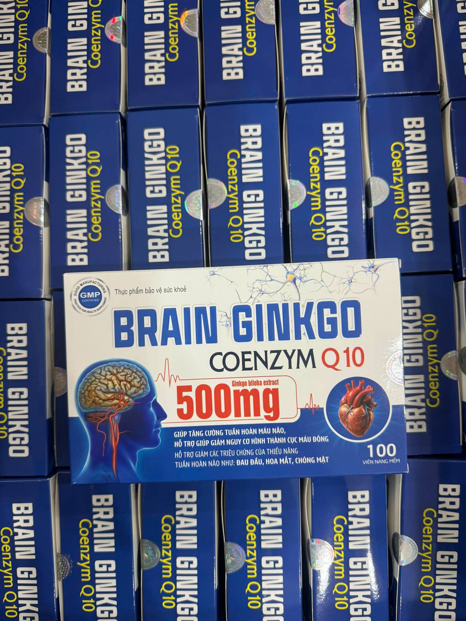 Brain Ginkgo 500mg (H/100v) Xanh