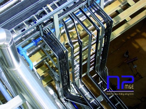 Công trình thang cáp 200x100 của NP Việt Nam