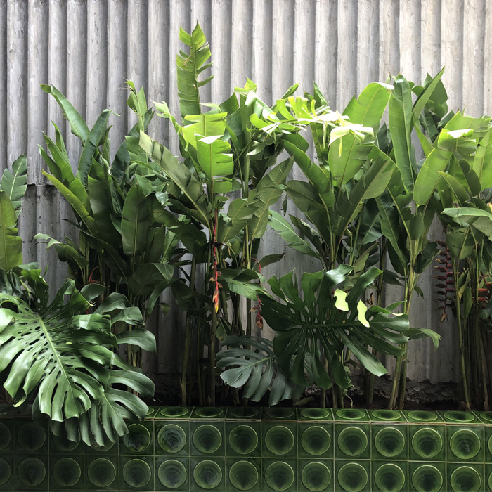 Gạch men rạn handmade xanh lá 15x15cm V1506M2