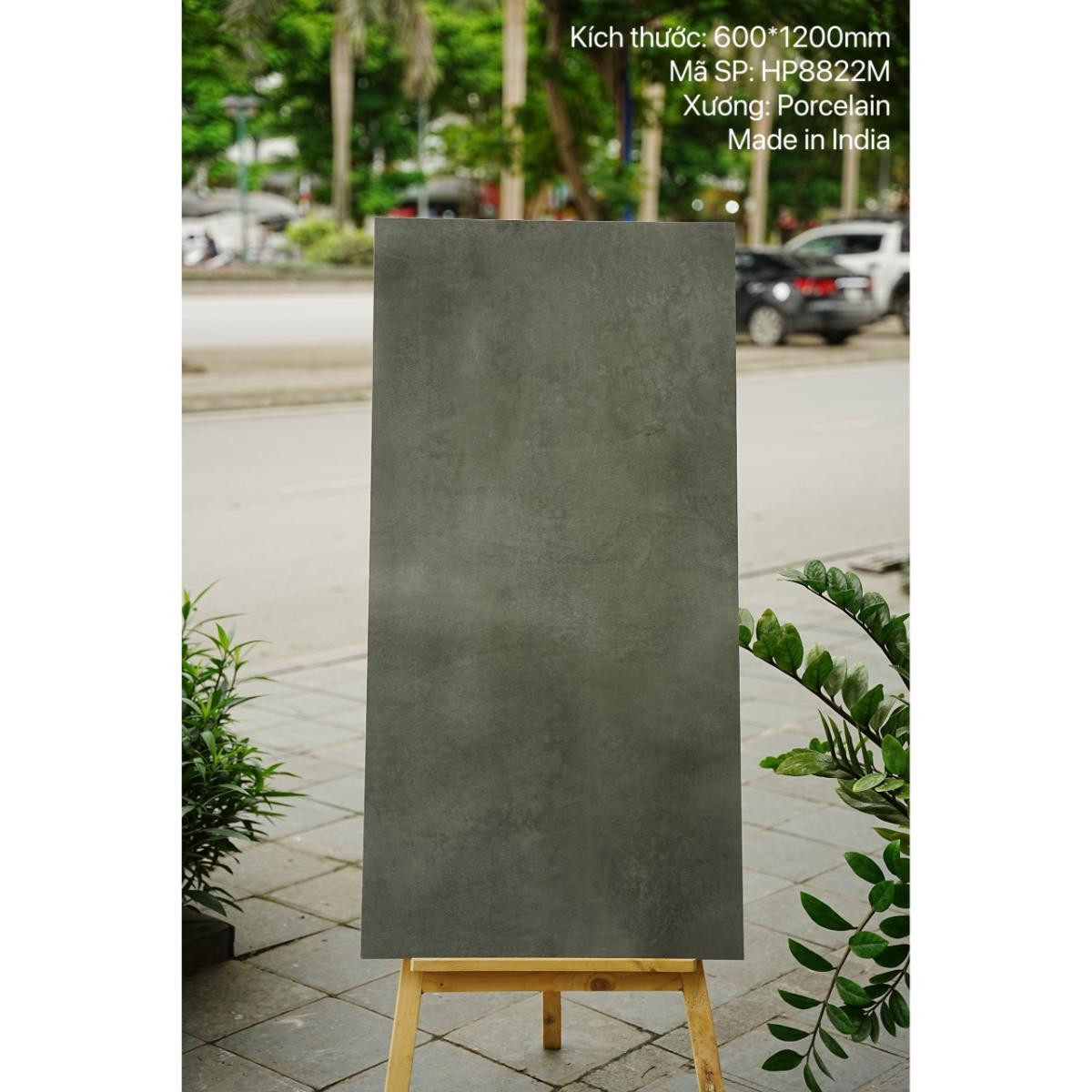 Gạch Ấn Độ nhập khẩu KT 60x120cm V-HP8822M