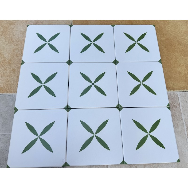 Gạch bông men KT 200x200mm V-MBH 666