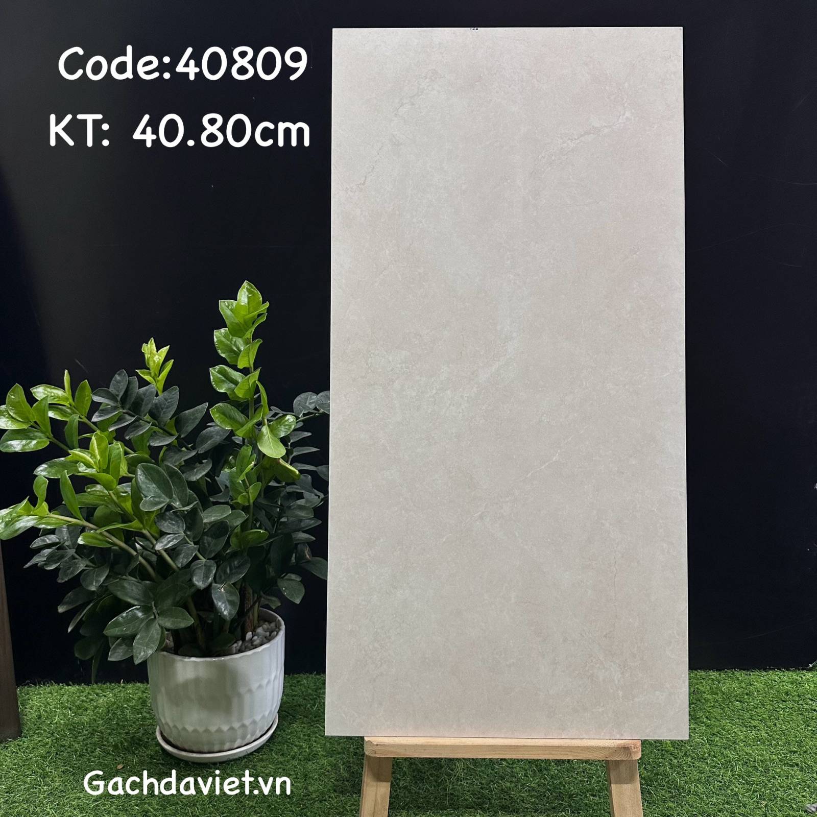 Gạch Trung Quốc nhập khẩu KT 40*80cm mã V-40809