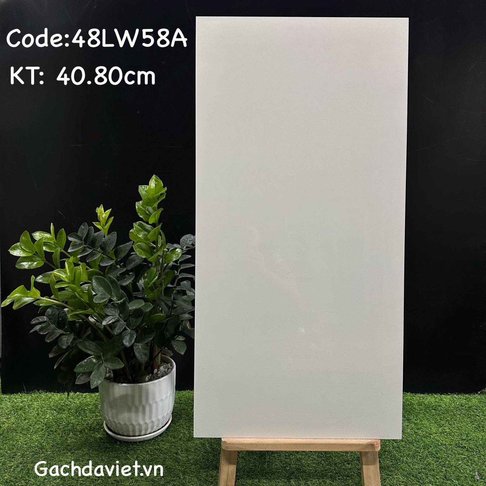 Gạch Trung Quốc nhập khẩu KT 40*80cm mã V-48LW58A