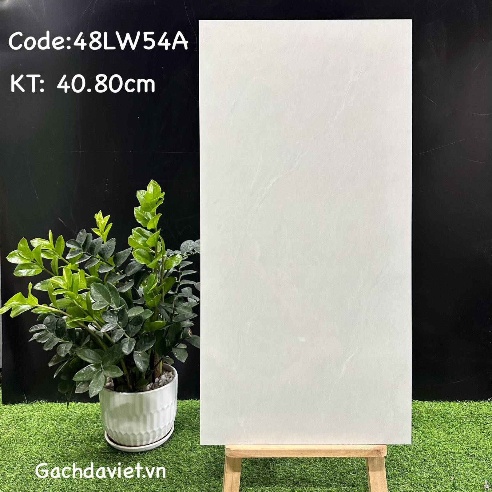 Gạch Trung Quốc nhập khẩu KT 40*80cm mã V-48LW54A
