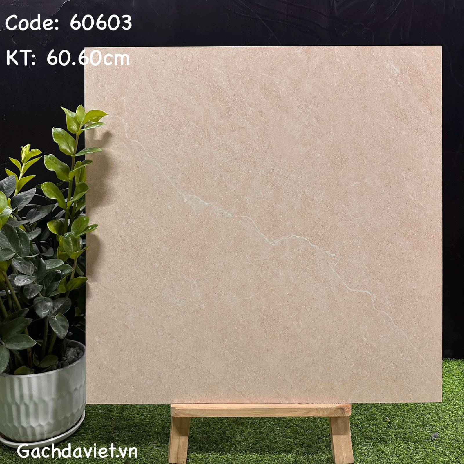 Gạch Trung Quốc nhập khẩu KT 60*60cm mã V-60603