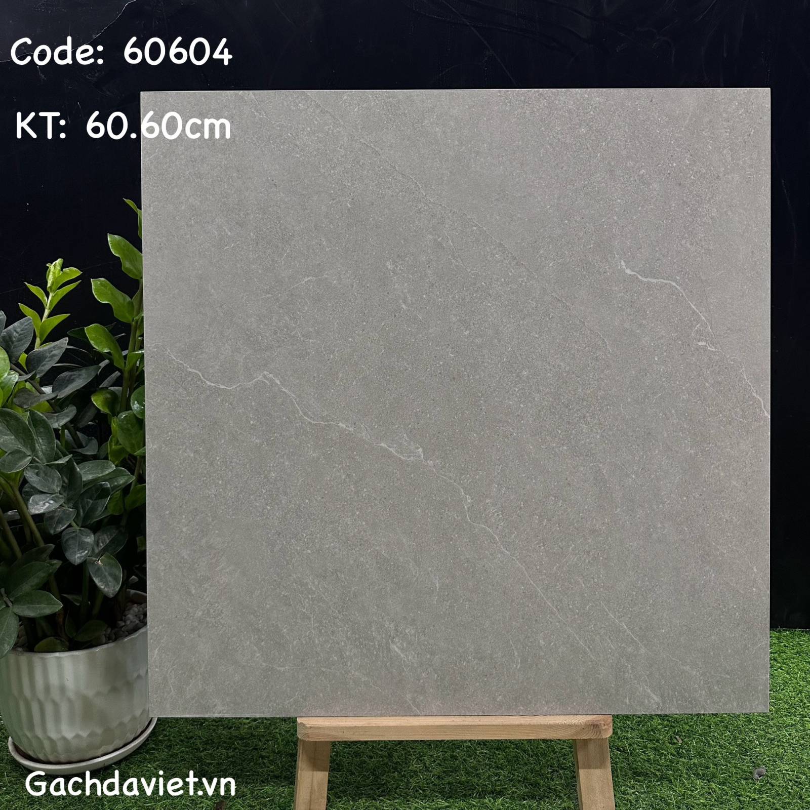 Gạch Trung Quốc nhập khẩu KT 60*60cm mã V-60604