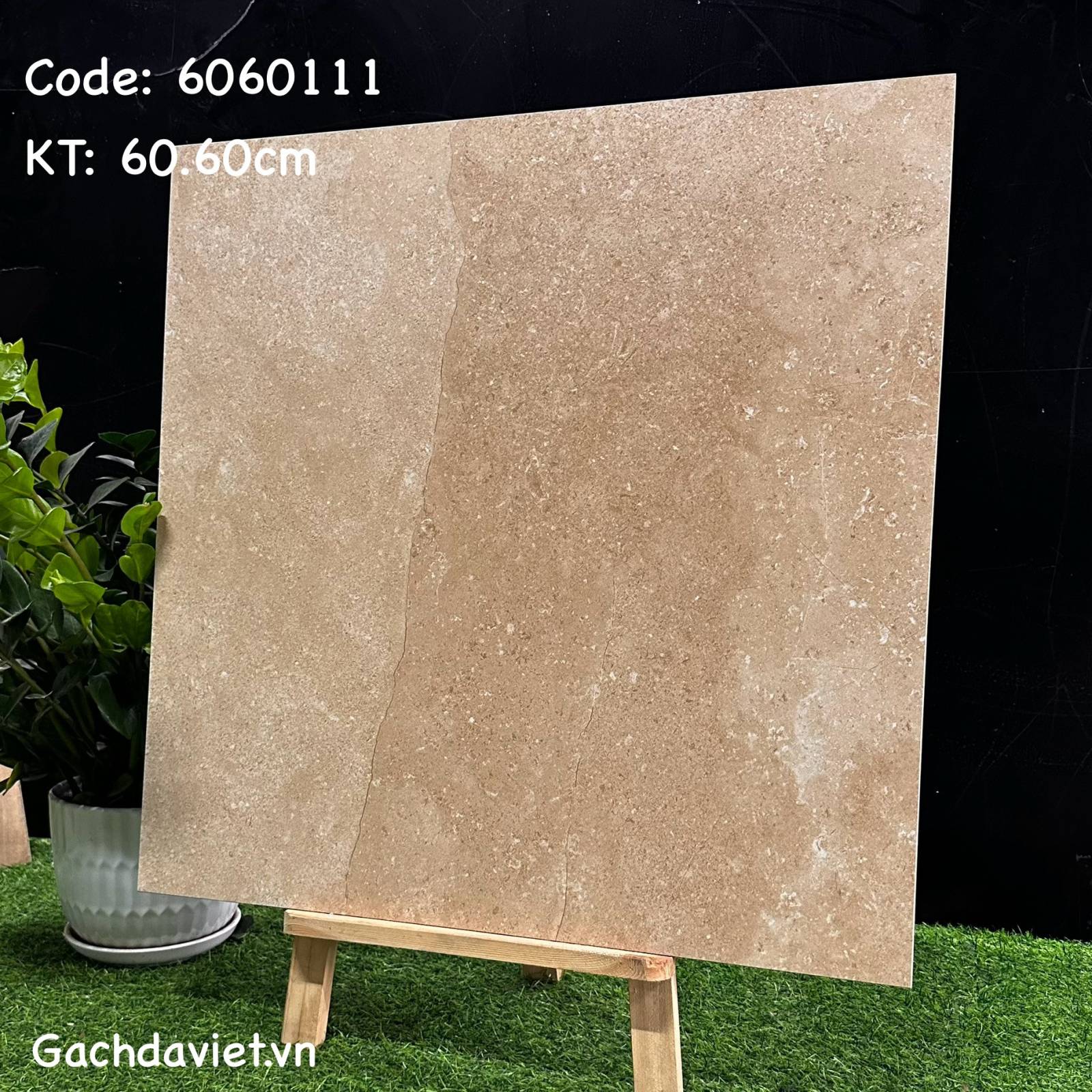 Gạch Trung Quốc nhập khẩu KT 60*60cm mã V-6060111