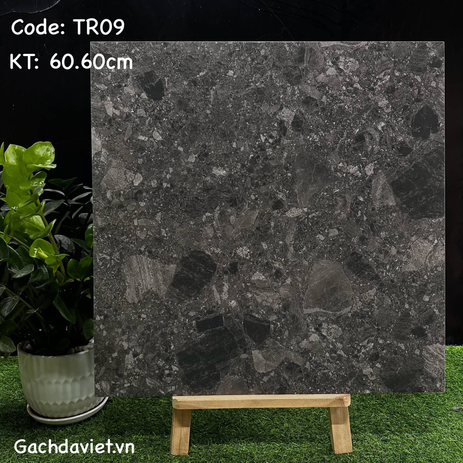 Gạch Trung Quốc nhập khẩu KT 60*60cm mã V-TR09