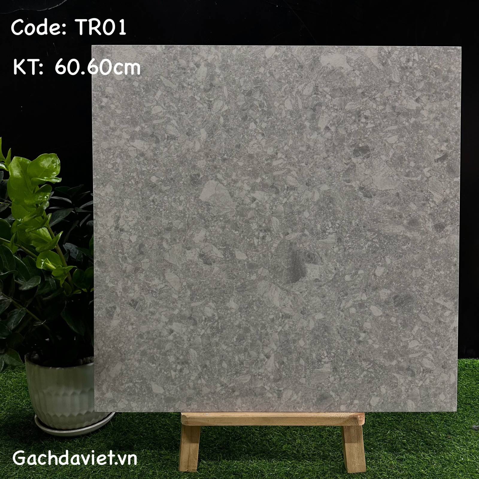 Gạch Trung Quốc nhập khẩu KT 60*60cm mã V-TR01
