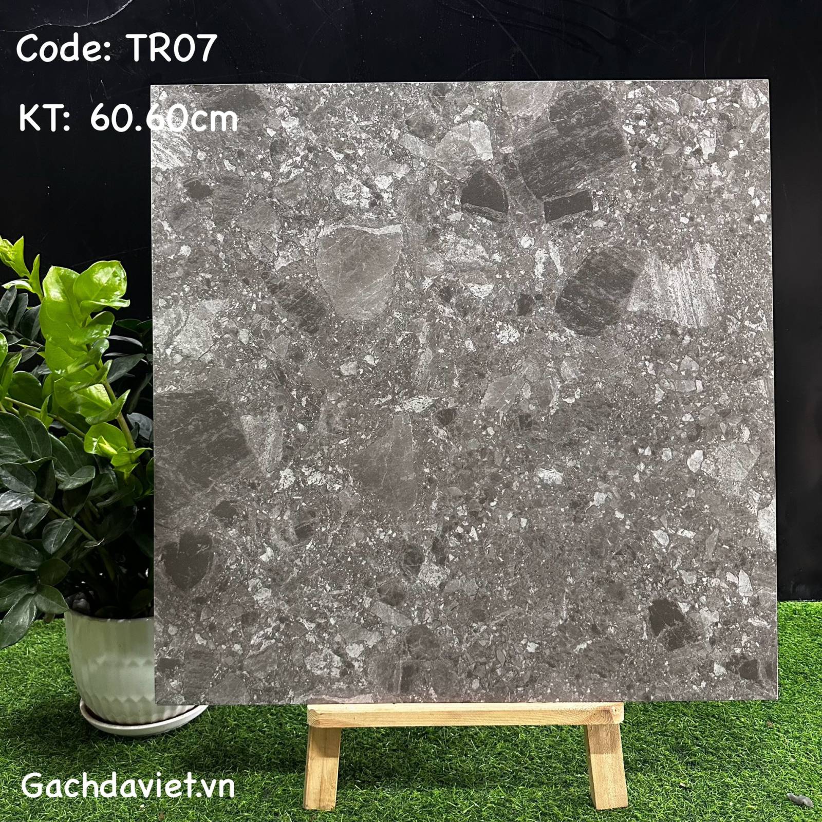 Gạch Trung Quốc nhập khẩu KT 60*60cm mã V-TR07
