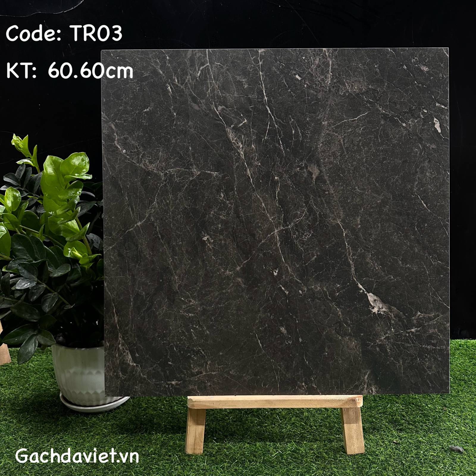 Gạch Trung Quốc nhập khẩu KT 60*60cm mã V-TR03