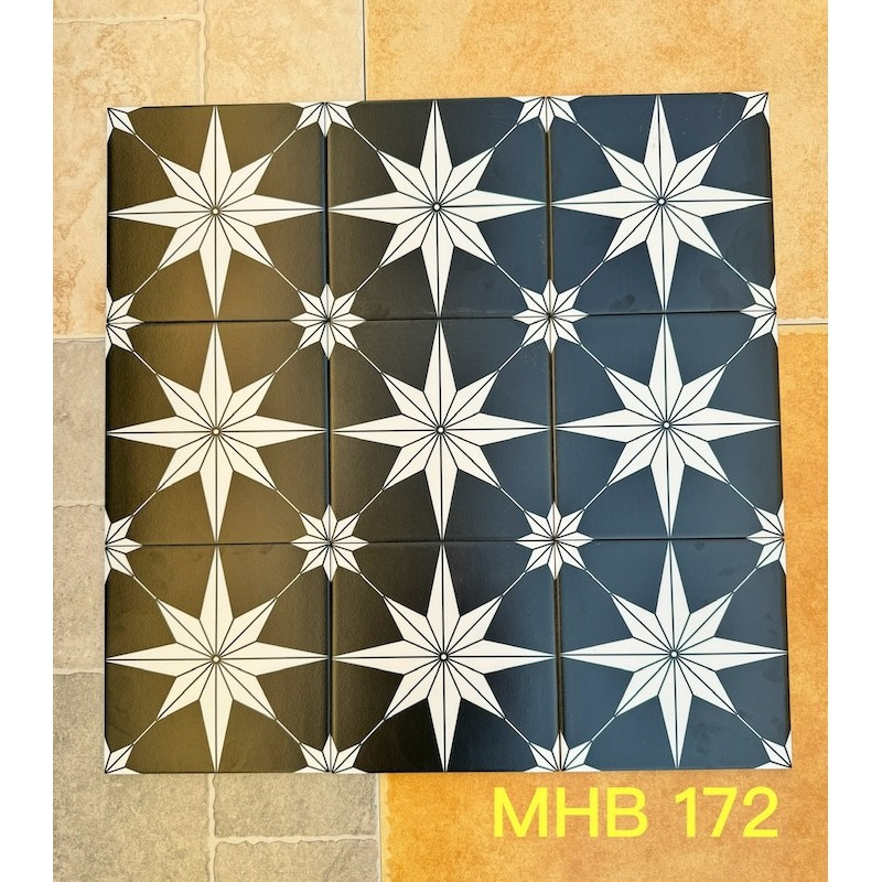 Gạch bông men KT 200x200mm V-MHB 172