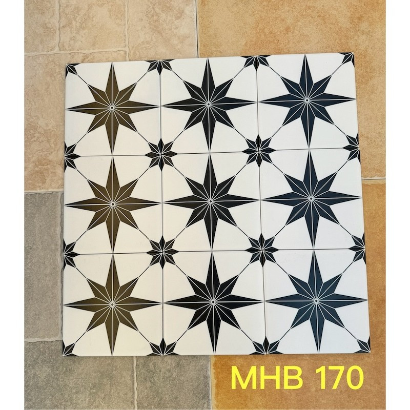 Gạch bông men KT 200x200mm V-MHB 170