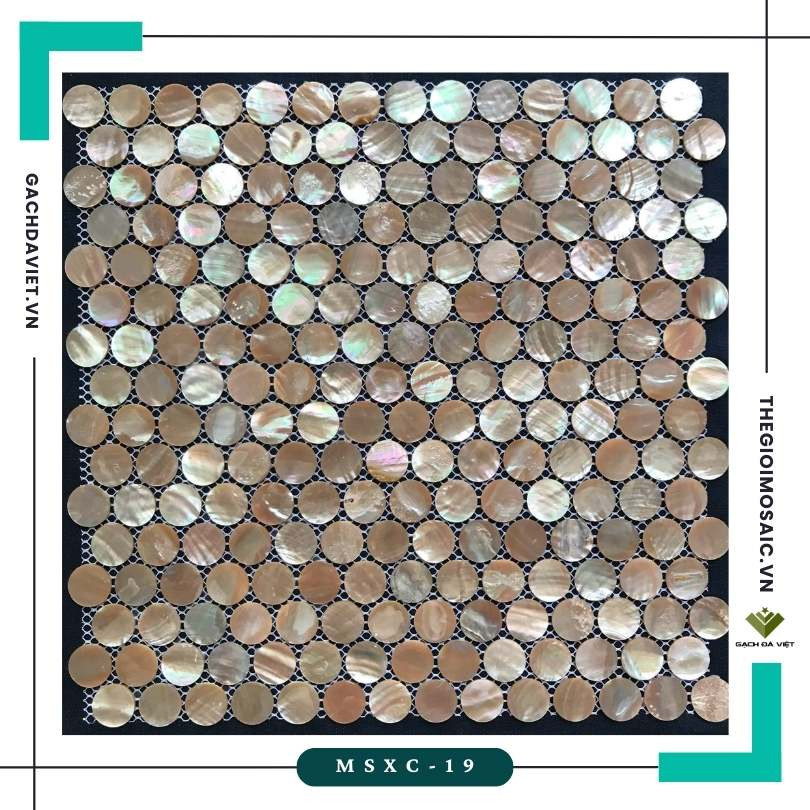 Gạch mosaic ốc xà cừ  MSXC-19