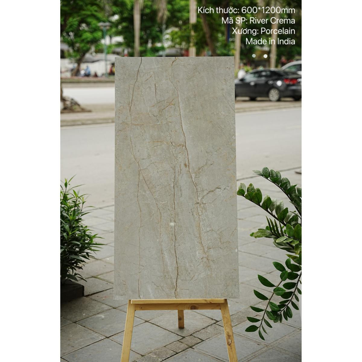 Gạch Ấn Độ nhập khẩu KT 60x120cm V-RIVER CREMA