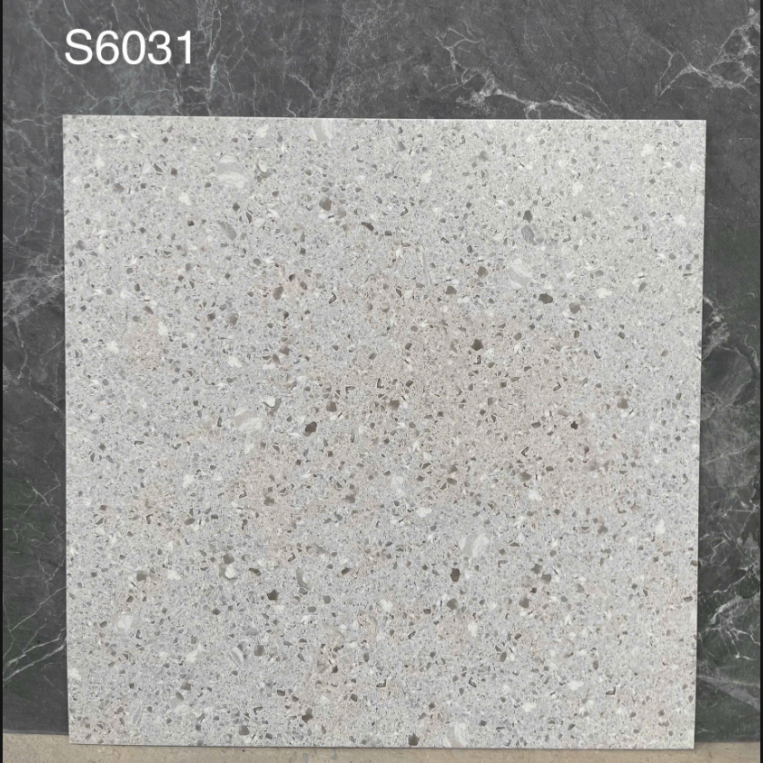 Gạch TQ KT 60x60cm V-S6031